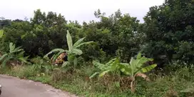 7 Menit Tol Sentul 2, Tanah Kaveling Bogor Cicilan 12x Tanpa Bunga 0%