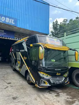 Isuzu NQR bus 34 seat istimewa