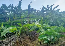 Tanah 20025m2 Strategis di Dekat Kejaksaan Kepanjen Malang