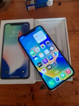 Iphone X 64Gb (bisa tt)