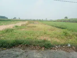 Tanah dijual lokasi strategis di jl Dlanggu Mojokerto