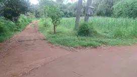 Tanah Kaveling SHM Bekasi, 8 Km Menuju Gerbang Tol Burangkeng
