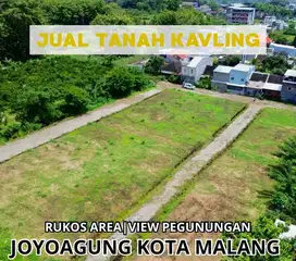 Tanah Strategis dekat Kampus UIN area Joyoagung