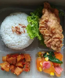 Nasi kotak, bento, tumpeng