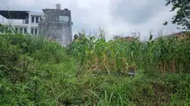 TANAH KAWASAN PERUMAHAN SIAP BANGUN SHM NEGO MALANG KOTA DEKAT UMM