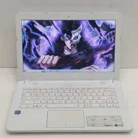 Asus vivobook X441M