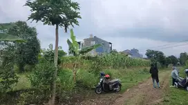 TANAH MURAH DEKAT KAMPUS UB UMM UM NEGO SHM!!