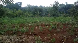 3 Menit Taman Yasmin Sektor 7 Tanah Kavling Bogor Kota Legalitas SHM