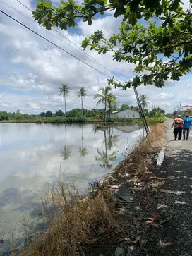 Dijual cepat tanah murah di bawah pasaran di harga 68 ribu permeter