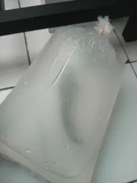 Ikan Oscar tiger
