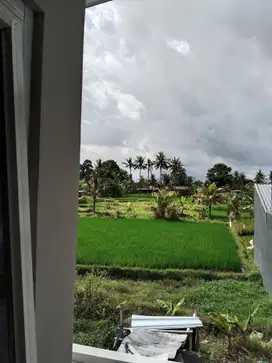 Disewakan rumah baru view sawah depan dan belakang, jln hotmik