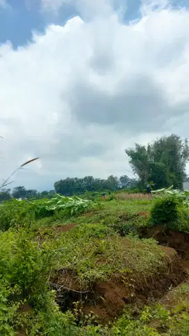Dekat Kampus UMM, Tanah Cocok Hunian & Kost