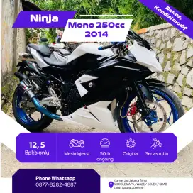 Kawasaki ninja mono 250cc Fi Tahun 2014