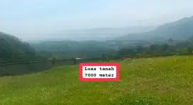 Jual tanah kebun murah nanggung lewiliang bgr barat