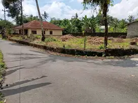 Sebidang Tanah Pekarangan, SHM Siap Balik Nama