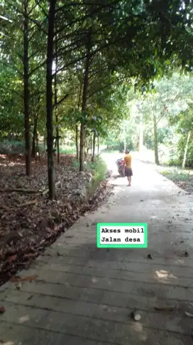 Jual tanah kebun durian murah dan sangat strategis