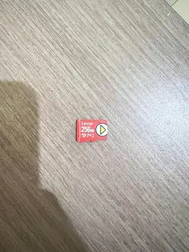 Lexar 256 GB PLAY Micro SD