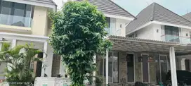 Dijual Rumah Graha Tirta Calista Waru Sidoarjo  SIU.A277