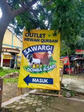 Jual Hewan Qurban Domba & sapi Sehat bersyariat