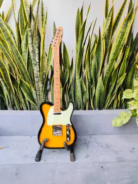 Gitar Bacchus BTE1RSM roasted maple