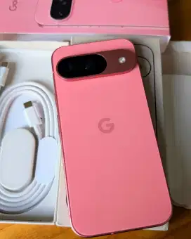 Google Pixel 9 128 Global terdaftar bea cukai