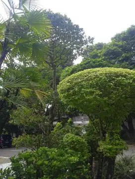 Pembantu Rumah Tangga Pria