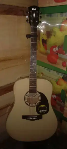 Jual gitar akustik CORT SINCE 1960