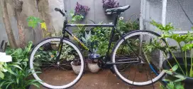 SEPEDA FIXIE LOKAL L REM TORPEDO
