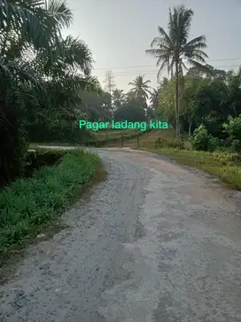 Di Jual Lahan Sawit 2,4 Ha sebelahan dengan Waduk harga bisa nego