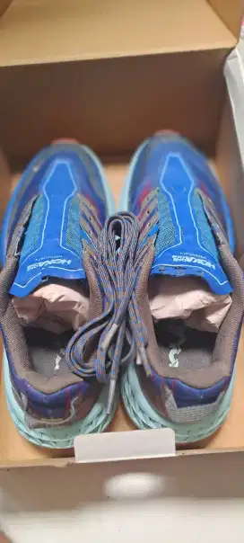 Hoka One Speed Goat 4