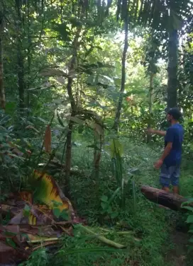TANAH DIJUAL CEPAT DAN MURAH