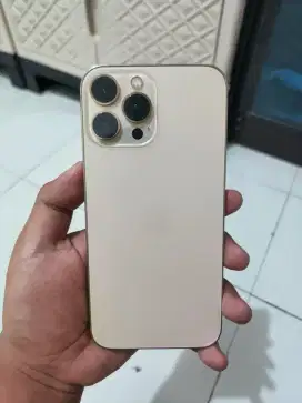 Iphone 13 promax 512 gb