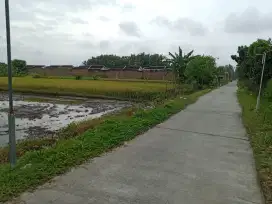 JUAL LAHAN SAWAH COCOK UNTUK PERUMAHAN