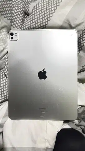 di jual ipad pro 13inci m4 silver 256gb wife only