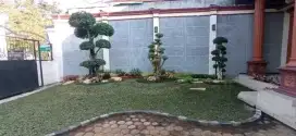 Spesialis pembuat Taman dan kolam koi