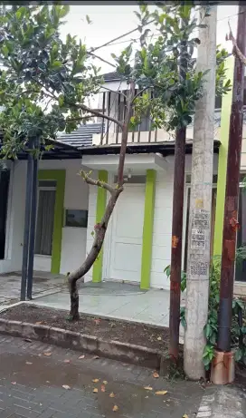 Rumah Dijual Pinus Regency
