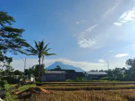 Dijual SHM Sawah View Gunung Merapi