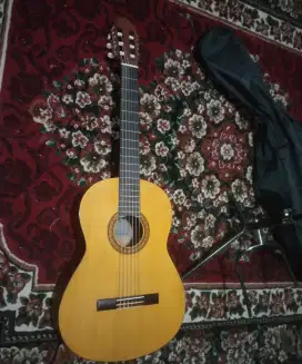Gitar Klasik Yamaha C315/02
