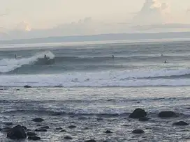 Tanah Los Pantai Medewi 1Ha Cocok Resort atau Hotel