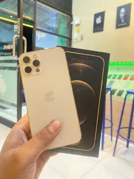 iPhone 12 Pro 128 Terdaftar Beacukai