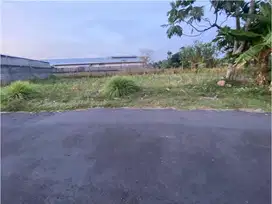 Timur Pasar Gentan, Peruntukan Rumah/villa, Suasana Asri