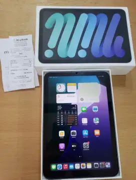 iPad Mini 7 Wifi Cellular 128GB Space Grey Inter ZP