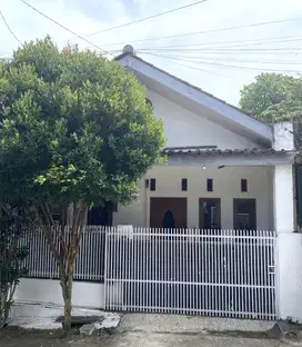 Disewakan Tahunan Rumah Asri Griya Mulya Kuldesak No.4