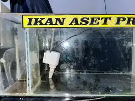 Aquarium estetik 70 x 31