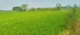 Jual Tanah Kavling Pribadi sendiri uk 5 x 10 Menganti batas Surabaya