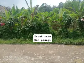 Jual tanah kebun murah dan sangat strategis nanggung lewiliang bgr