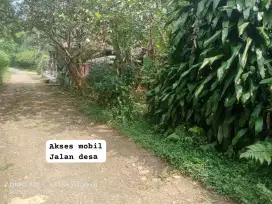 Jual tanah kebun murah nanggung lewiliang bgr barat