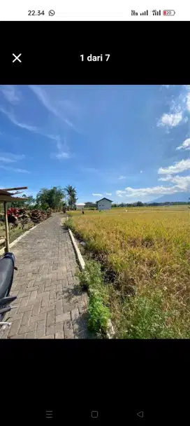 Tanah Lahan  Sawah Dekat Dengan Exit Toll Luas 484 Harga 1,5m Nego