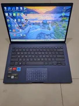 Asus expertbook ryzen 3 3250