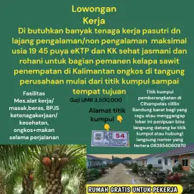 Loker pemanen kelapa sawit